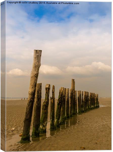 Mid Beach Breakwater at West Wittering Canvas Print by colin chalkley