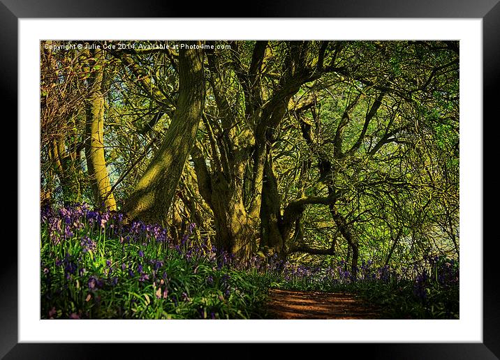 Bunkers Hill Bluebells 3 Framed Mounted Print by Julie Coe