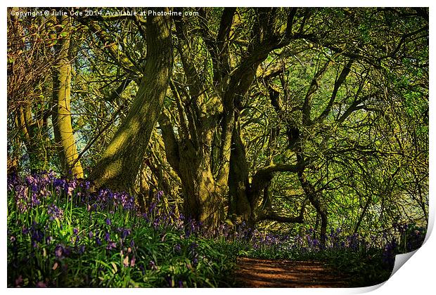 Bunkers Hill Bluebells 3 Print by Julie Coe