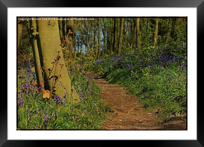 Bunkers Hill Bluebells 4 Framed Mounted Print by Julie Coe