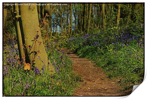 Bunkers Hill Bluebells 4 Print by Julie Coe
