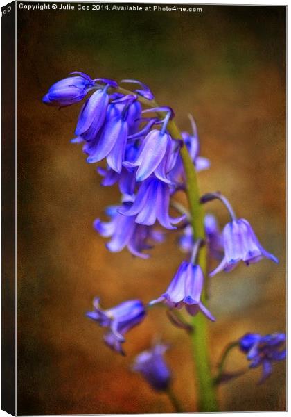 Spanish Bluebells 8 Canvas Print by Julie Coe