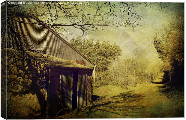 Grungy Shed Canvas Print by Julie Coe