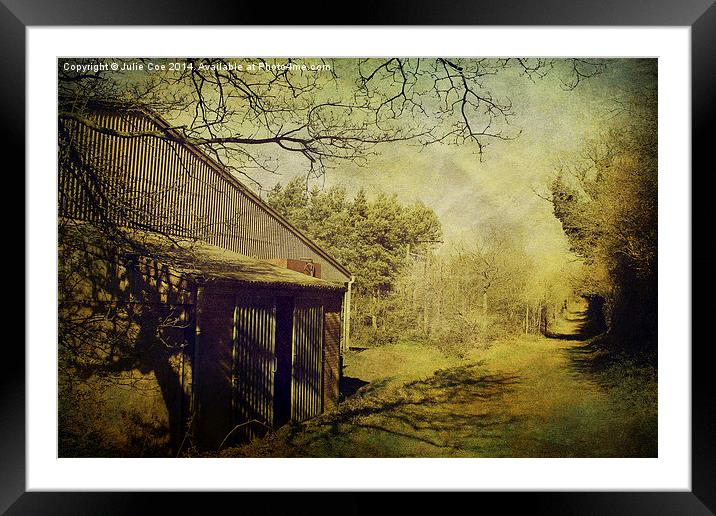 Grungy Shed Framed Mounted Print by Julie Coe