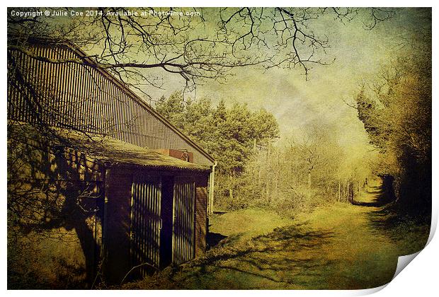 Grungy Shed Print by Julie Coe