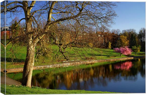 Crookes Valley Park in Spring Canvas Print by Darren Galpin