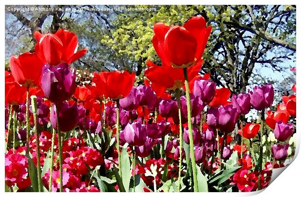 TULIPS OIL PAINTING Print by Anthony Kellaway