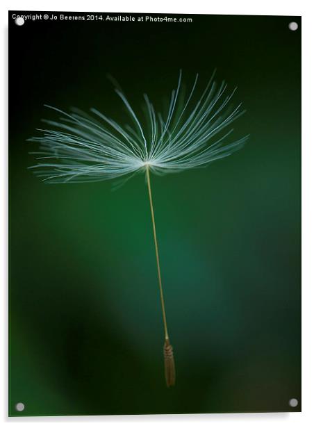 seed en route Acrylic by Jo Beerens