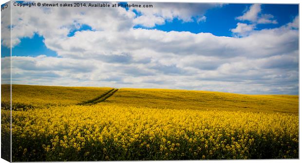 Rise of the Rapeseed Canvas Print by stewart oakes