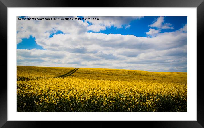 Rise of the Rapeseed Framed Mounted Print by stewart oakes