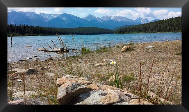 Patricia Lake Framed Print by Daniel Kesh