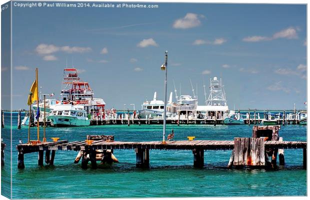 Jetties at Isla Mujeres Canvas Print by Paul Williams