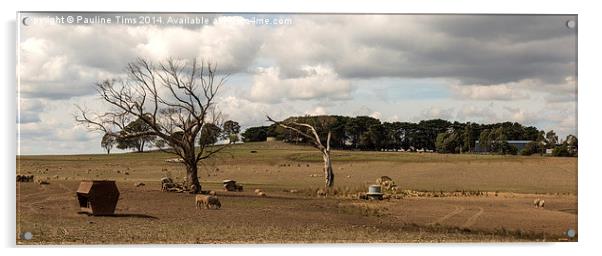 Sheep Farm at Kilmore victoria Australia Acrylic by Pauline Tims