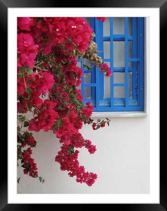 Deep Red Bougainvillaea Greece Framed Mounted Print by DEE- Diana Cosford