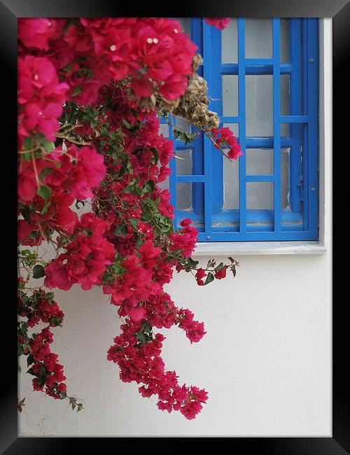 Deep Red Bougainvillaea Greece Framed Print by DEE- Diana Cosford
