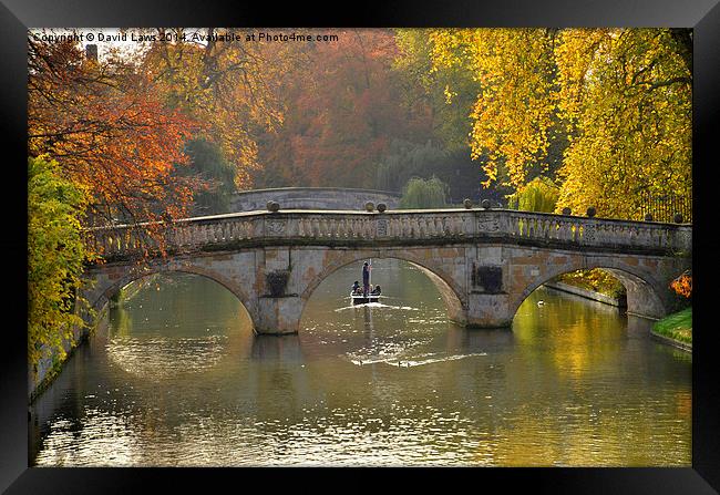 Punting on the Cam Framed Print by David Laws