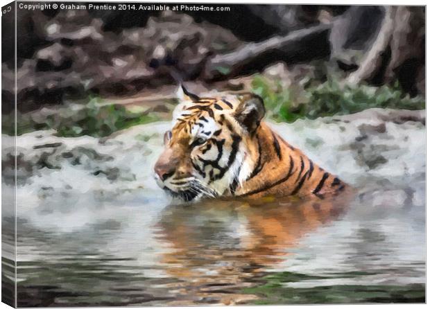 Tiger Canvas Print by Graham Prentice