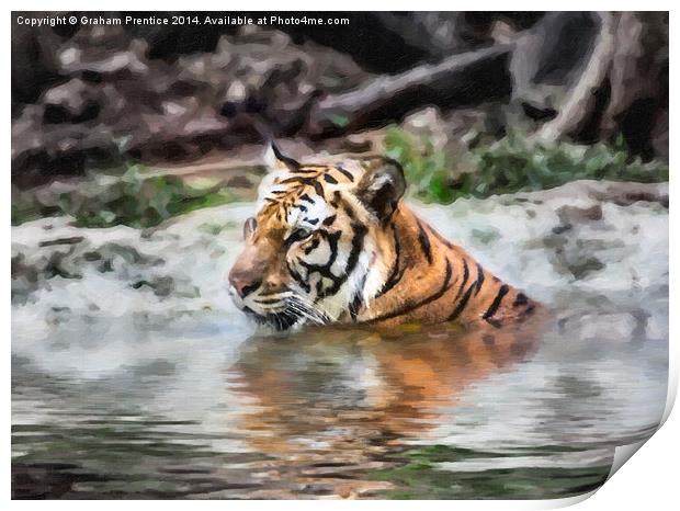 Tiger Print by Graham Prentice