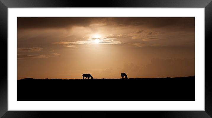 Wild ponies of Gower Framed Mounted Print by Leighton Collins