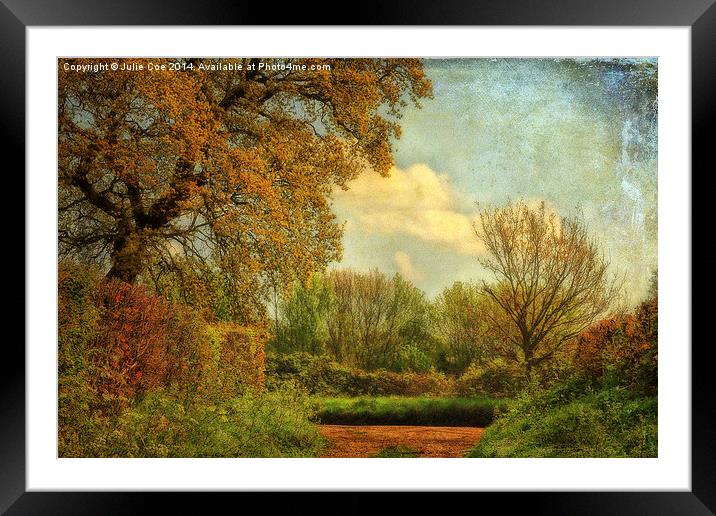 Top Of The Lane Framed Mounted Print by Julie Coe