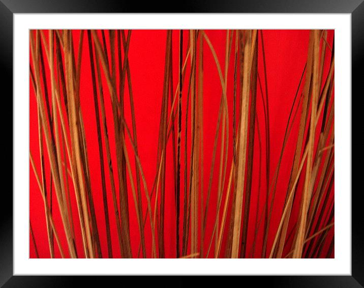 Cane on Red Framed Mounted Print by james richmond