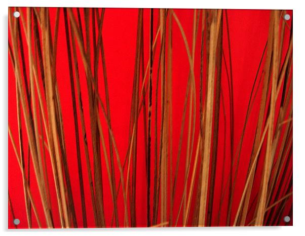 Cane on Red Acrylic by james richmond