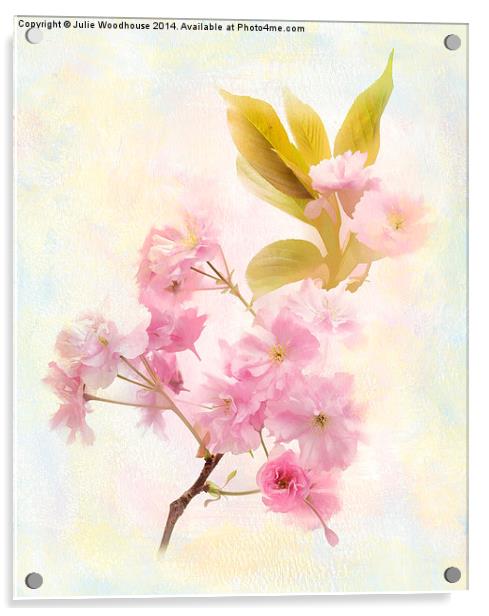 Cherry Blossom Acrylic by Julie Woodhouse