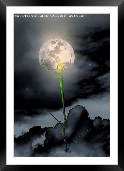 Moon Flower Framed Mounted Print by Christine Lake