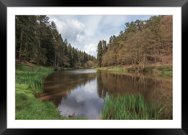 Spring at Soudley Ponds Framed Mounted Print by David Tinsley