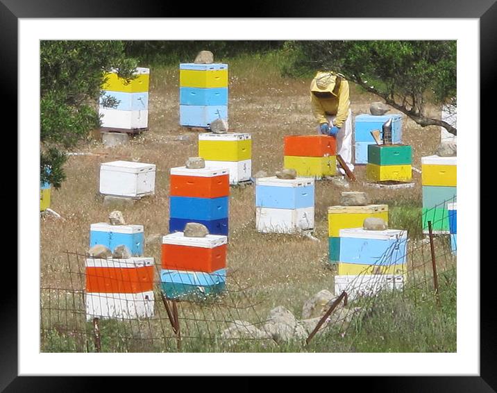 Colourful Greek Honey Hives Beekeeper Framed Mounted Print by DEE- Diana Cosford