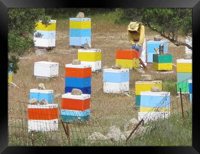Colourful Greek Honey Hives Beekeeper Framed Print by DEE- Diana Cosford