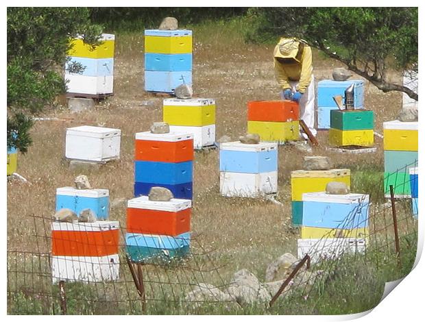 Colourful Greek Honey Hives Beekeeper Print by DEE- Diana Cosford