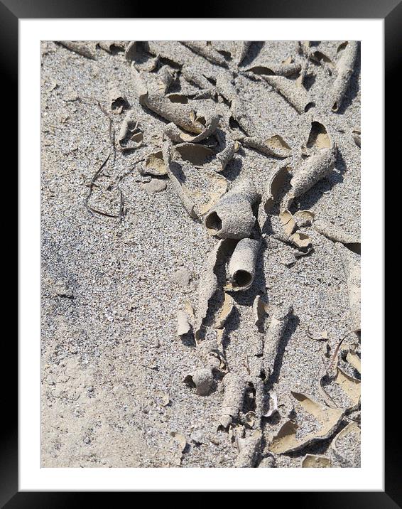 Curls of sand Framed Mounted Print by DEE- Diana Cosford