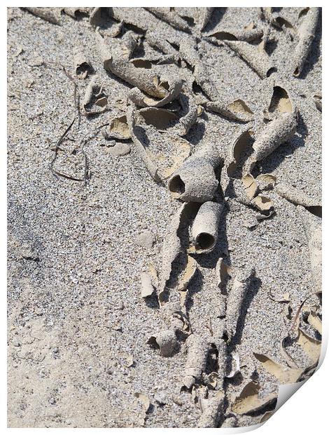 Curls of sand Print by DEE- Diana Cosford