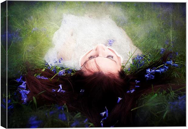Sleeping Beauty Canvas Print by Dawn Cox