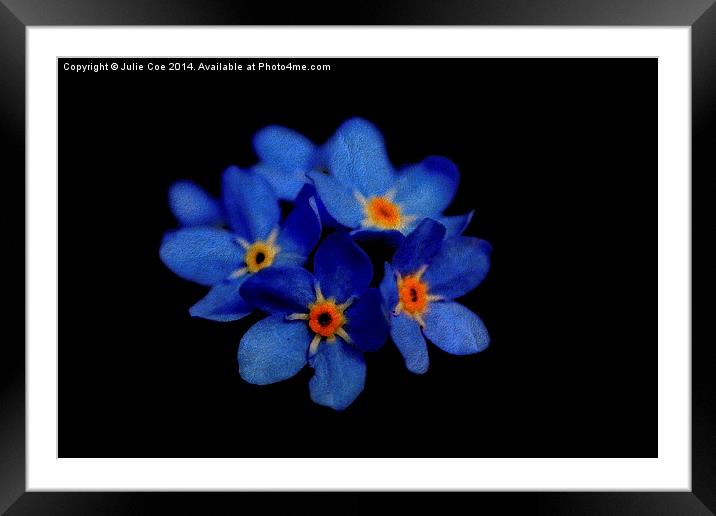 Textured Forget Me Nots Framed Mounted Print by Julie Coe