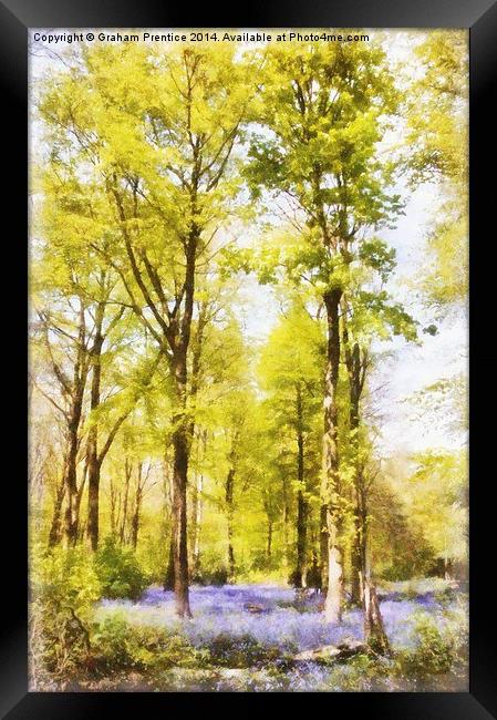 Bluebell Woods Framed Print by Graham Prentice