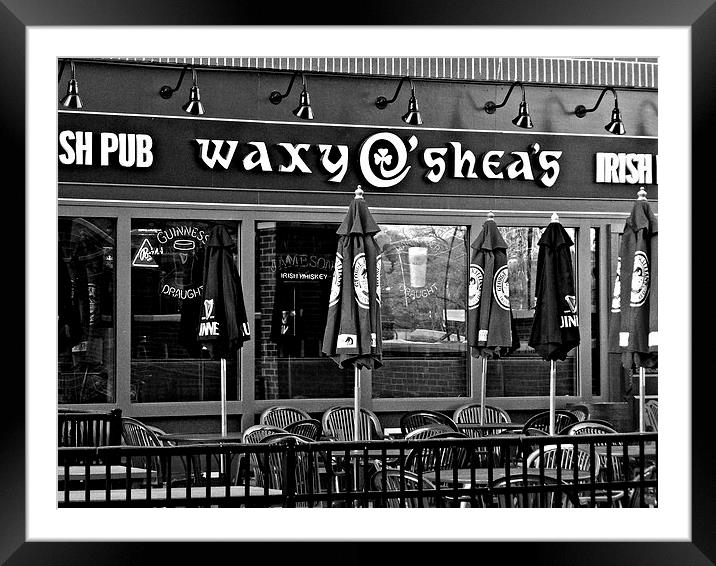 Waxys in Black and White Framed Mounted Print by Pics by Jody Adams