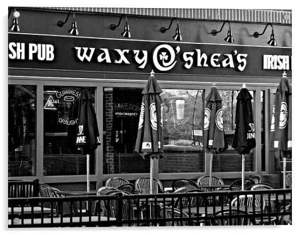 Waxys in Black and White Acrylic by Pics by Jody Adams