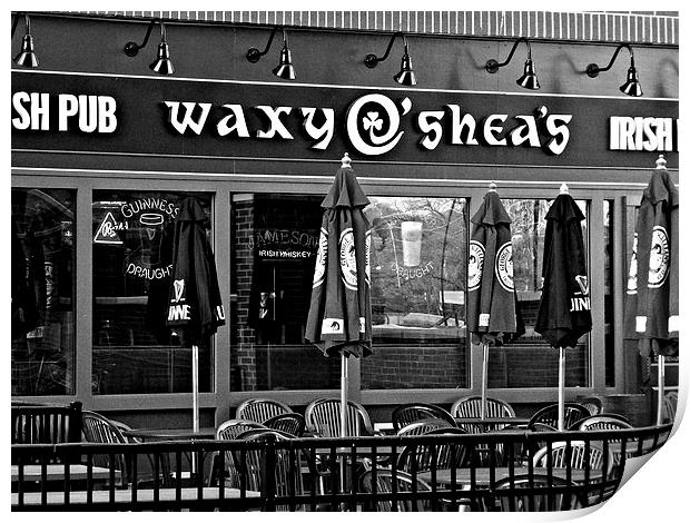 Waxys in Black and White Print by Pics by Jody Adams