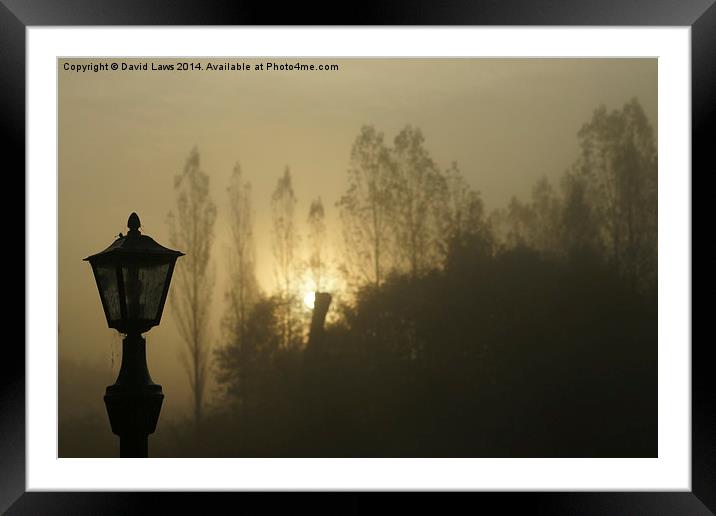 Backlight Framed Mounted Print by David Laws