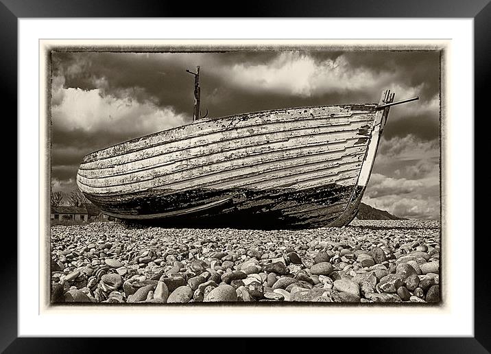 Left to rot Framed Mounted Print by Mark Bunning