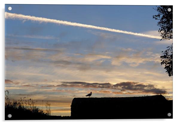 Lone Bird at sunset Acrylic by Ashish Agarwal