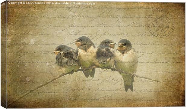 Vintage Swallow Fledglings Canvas Print by LIZ Alderdice