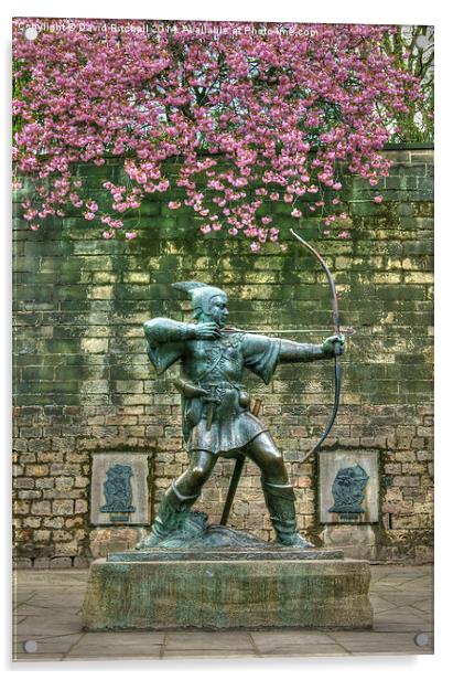 Robin Hood Statue Acrylic by David Birchall