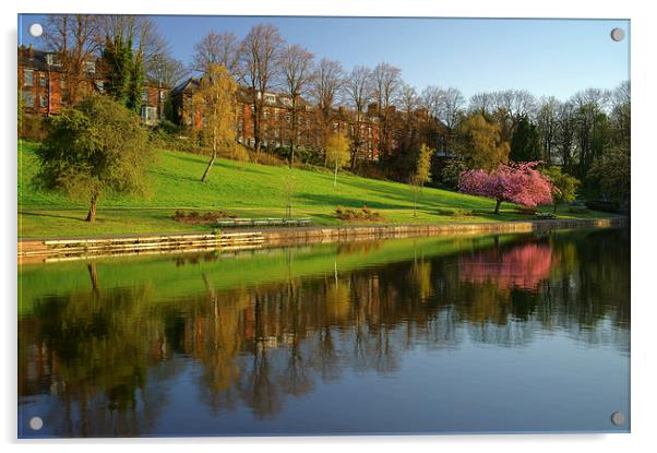 Crookes Valley Park Reflections Acrylic by Darren Galpin