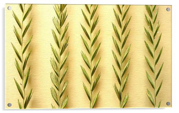 Grass on Gold Acrylic by james richmond