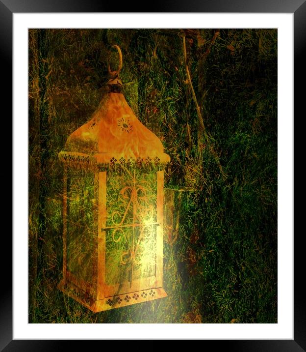 The Garden Lantern. Framed Mounted Print by Heather Goodwin