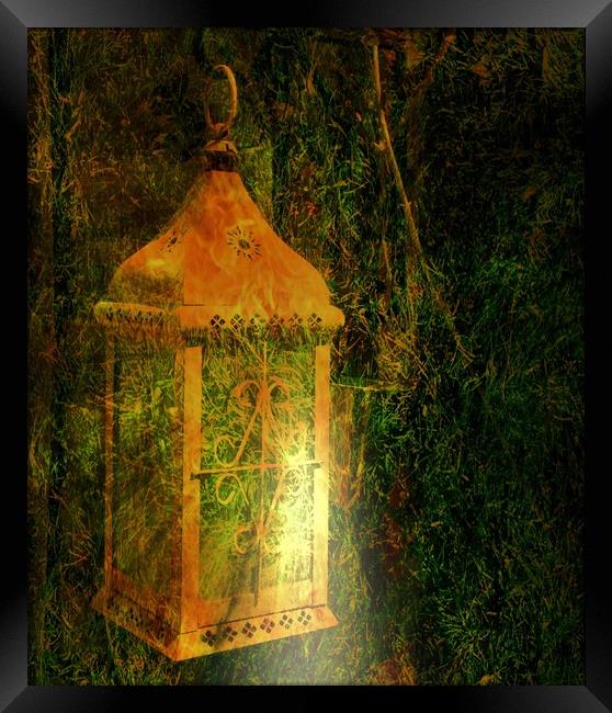 The Garden Lantern. Framed Print by Heather Goodwin