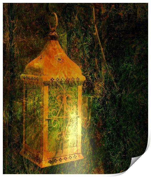 The Garden Lantern. Print by Heather Goodwin